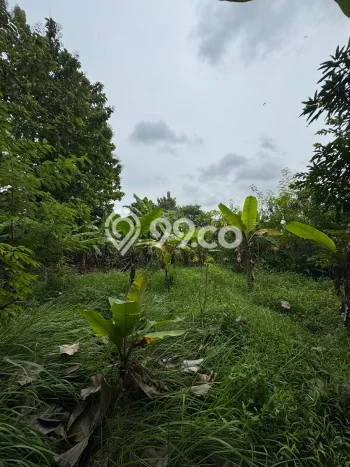 Lahan untuk Dijual di Klari Karawang Luas 7700m2 Lahan untuk Dijual di Klari Karawang Luas 7700m2