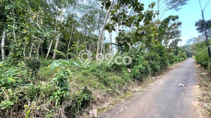 Kavling Tanah Dijual di Mojosongo, Boyolali, Luas 1400m2 Area Strategis Kavling Tanah Dijual di Mojosongo, Boyolali, Luas 1400m2 Area Strategis