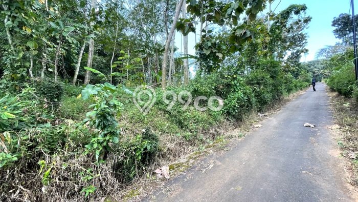 Kavling Tanah Dijual di Mojosongo, Boyolali, Luas 1400m2 Area Strategis Kavling Tanah Dijual di Mojosongo, Boyolali, Luas 1400m2 Area Strategis