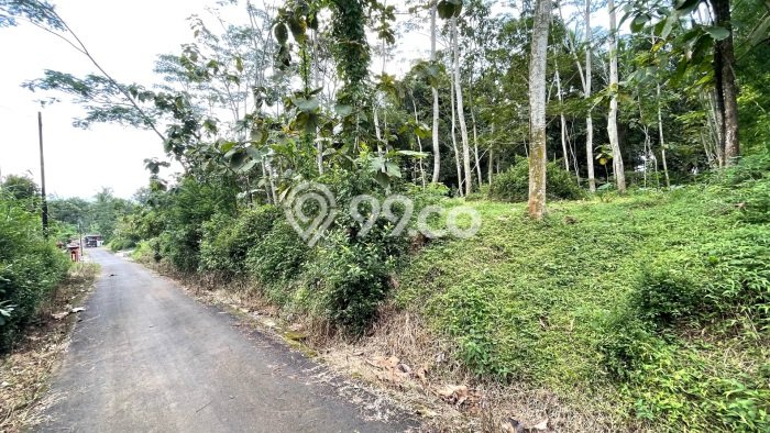 Kavling Tanah Dijual di Mojosongo, Boyolali, Luas 1400m2 Area Strategis Kavling Tanah Dijual di Mojosongo, Boyolali, Luas 1400m2 Area Strategis