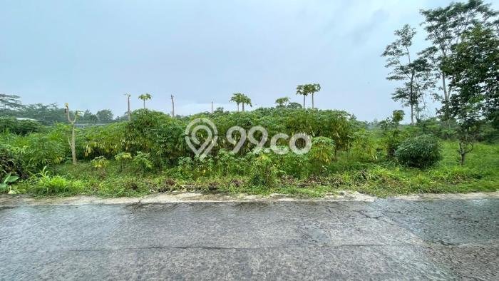 Dijual Tanah di Teras Boyolali Luas 1000m2 SHM Dijual Tanah di Teras Boyolali Luas 1000m2 SHM