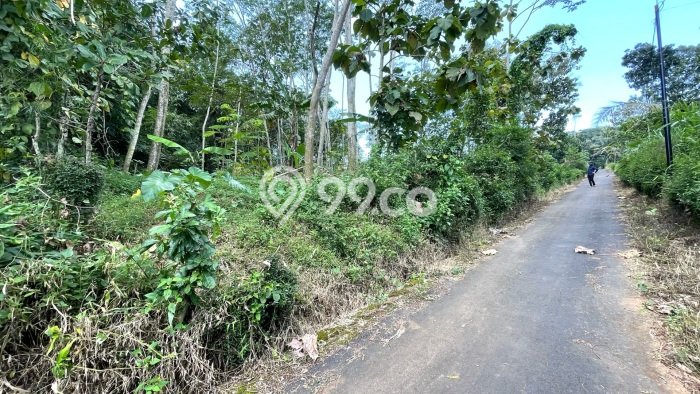 Kavling Tanah Dijual di Mojosongo, Boyolali, Luas 1400m2 Area Strategis Kavling Tanah Dijual di Mojosongo, Boyolali, Luas 1400m2 Area Strategis