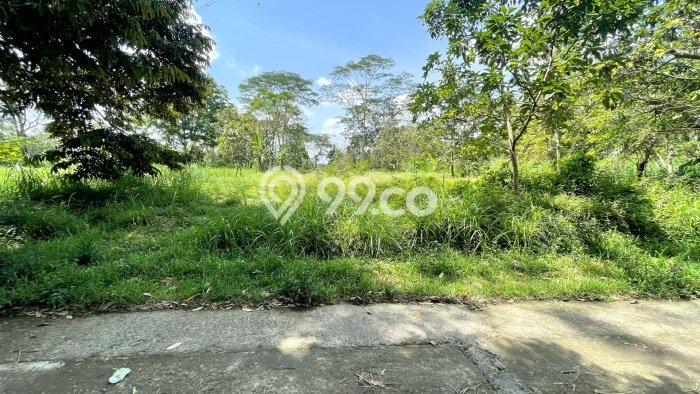 Tanah di Mojosongo, Boyolali Luas 1967m2 Dijual Segera Tanah di Mojosongo, Boyolali Luas 1967m2 Dijual Segera