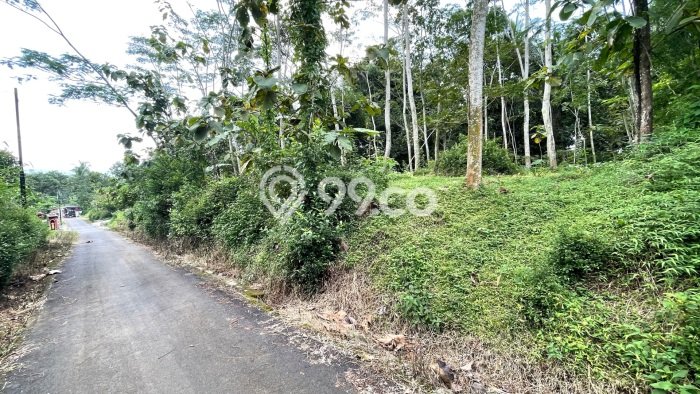 Kavling Tanah Dijual di Mojosongo, Boyolali, Luas 1400m2 Area Strategis Kavling Tanah Dijual di Mojosongo, Boyolali, Luas 1400m2 Area Strategis