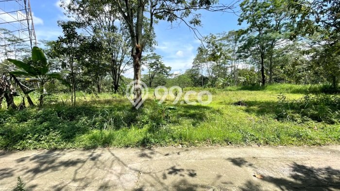 Tanah Strategis Dijual di Mojosongo Boyolali 4270m2 Tanah Strategis Dijual di Mojosongo Boyolali 4270m2