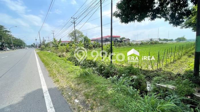 Lahan Kosong Dijual di Boyolali dengan Area 2230m2 Lahan Kosong Dijual di Boyolali dengan Area 2230m2