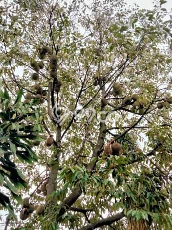 Siap Huni Hunian Elit 4 Kamar di Cimahi Tengah Dekat ke Mana Pun Siap Huni Hunian Elit 4 Kamar di Cimahi Tengah Dekat ke Mana Pun