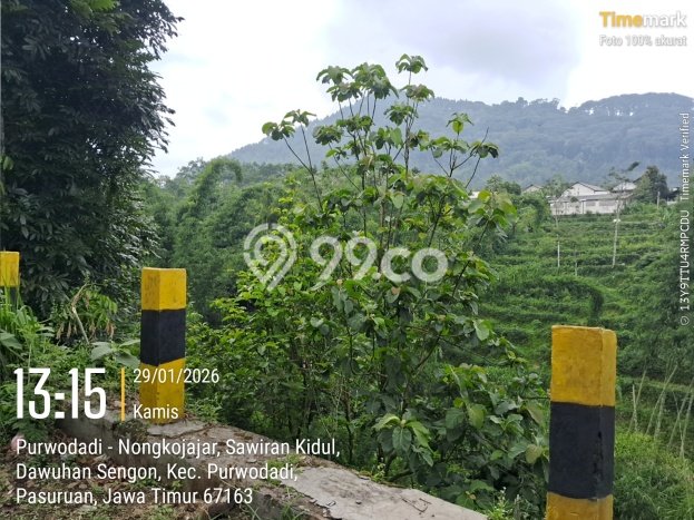 Lahan Dijual Lokasi Purwodadi, Pasuruan dengan Luas Tanah 2254m2 dan Status SHM Lahan Dijual Lokasi Purwodadi, Pasuruan dengan Luas Tanah 2254m2 dan Status SHM