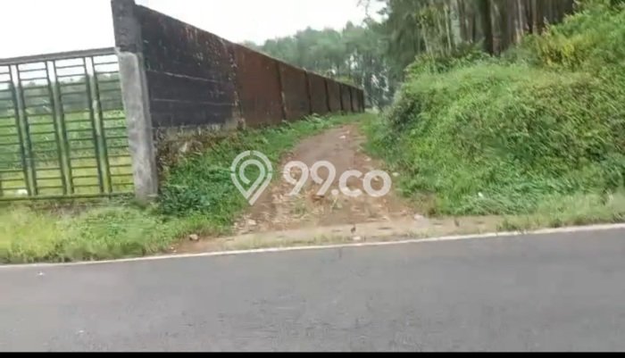 Tanah Dijual Lokasi Tutur Pasuruan SHM Tanah Dijual Lokasi Tutur Pasuruan SHM