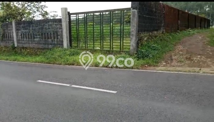Tanah Dijual Lokasi Tutur Pasuruan SHM Tanah Dijual Lokasi Tutur Pasuruan SHM