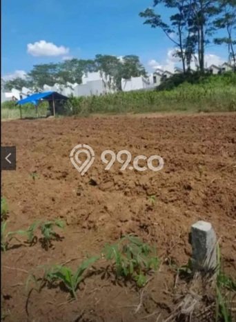 Tanah Kavling Dijual di Malang dengan Spesifikasi 1048m2 Tanah Kavling Dijual di Malang dengan Spesifikasi 1048m2