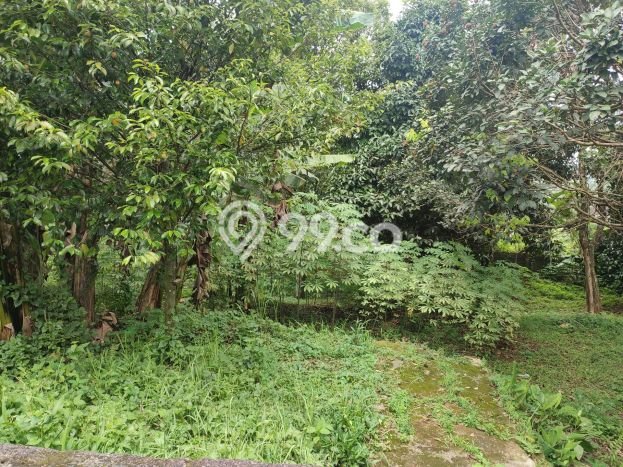 Rumah Sewa Bogor LT 1370m2 LB 200m2 Kawasan Cipayung Rumah Sewa Bogor LT 1370m2 LB 200m2 Kawasan Cipayung