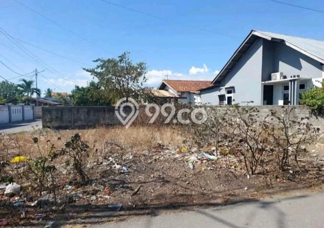 Lahan Investasi Lokasi Kelapa Lima Kupang SHM Lahan Investasi Lokasi Kelapa Lima Kupang SHM