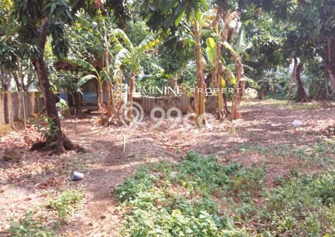 Untuk Dijual Tanah di Majalengka, Luas 1265m2 SHM Untuk Dijual Tanah di Majalengka, Luas 1265m2 SHM