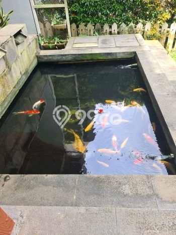 Hot Offer Hunian Premium Ideal dan Luas di BSD, Tangerang Selatan Hot Offer Hunian Premium Ideal dan Luas di BSD, Tangerang Selatan