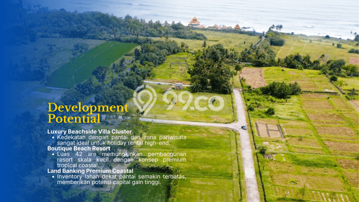 Tanah Dijual Area Strategis di Kedungu Tabanan 1000m2 Tanah Dijual Area Strategis di Kedungu Tabanan 1000m2