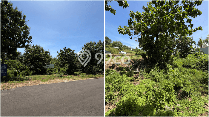 Tanah Dijual Area Strategis di Pecatu Badung 1077m2 Tanah Dijual Area Strategis di Pecatu Badung 1077m2