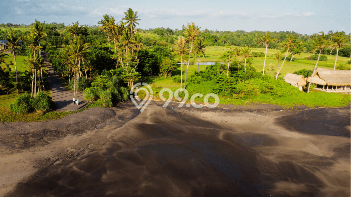 Tanah Dijual di Tabanan Seluas 380000m2 Strategis Tanah Dijual di Tabanan Seluas 380000m2 Strategis