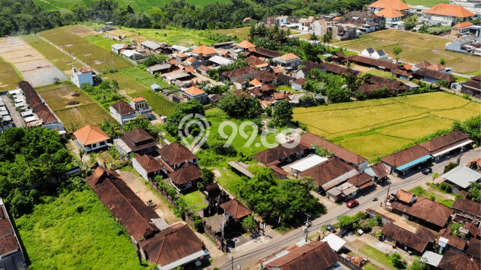Lahan Dijual Lokasi Strategis di Tabanan dengan Luas 2500m2 Lahan Dijual Lokasi Strategis di Tabanan dengan Luas 2500m2