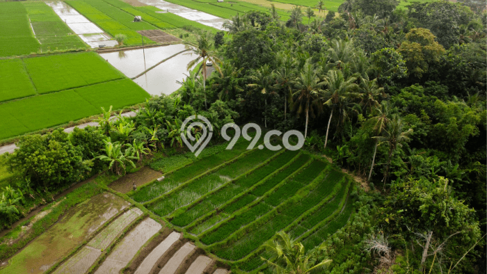 Tanah Dijual di Tabanan Seluas 1300m2 Strategis Tanah Dijual di Tabanan Seluas 1300m2 Strategis