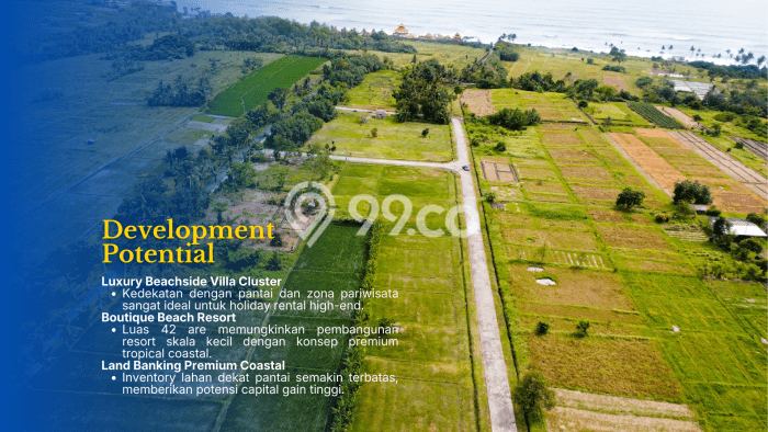 Tanah Siap Bangun Dijual di Tabanan Punya Luas 500m2 Tanah Siap Bangun Dijual di Tabanan Punya Luas 500m2