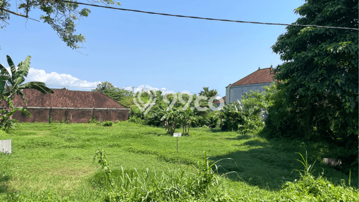 Lahan Dijual Lokasi Strategis di Tabanan dengan Luas 2500m2 Lahan Dijual Lokasi Strategis di Tabanan dengan Luas 2500m2