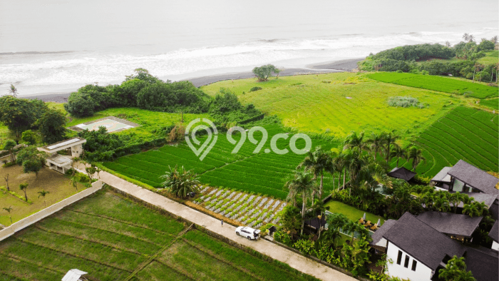 Untuk Dijual Tanah 2350m2 di Klecung, Tabanan Untuk Dijual Tanah 2350m2 di Klecung, Tabanan
