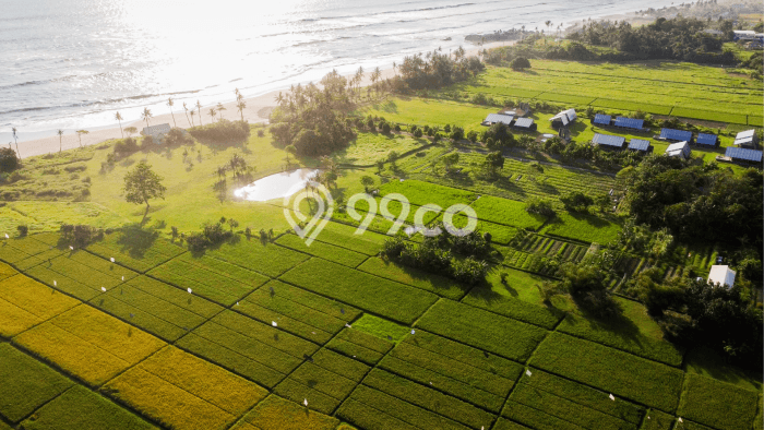 Tanah Dijual di Tabanan Seluas 380000m2 Strategis Tanah Dijual di Tabanan Seluas 380000m2 Strategis