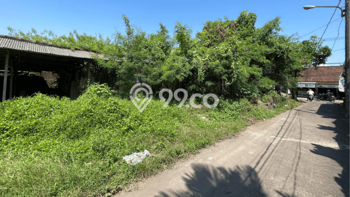 Lahan Dijual Lokasi Strategis di Tabanan dengan Luas 2500m2 Lahan Dijual Lokasi Strategis di Tabanan dengan Luas 2500m2
