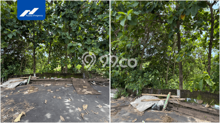Tanah Kavling Dijual di Badung dengan Spesifikasi 400m2 Tanah Kavling Dijual di Badung dengan Spesifikasi 400m2