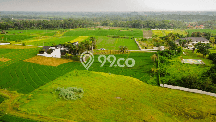 Untuk Dijual Tanah 2350m2 di Klecung, Tabanan Untuk Dijual Tanah 2350m2 di Klecung, Tabanan