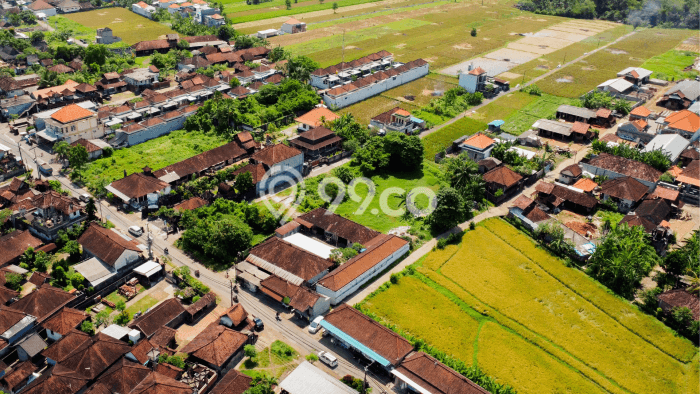 Lahan Dijual Lokasi Strategis di Tabanan dengan Luas 2500m2 Lahan Dijual Lokasi Strategis di Tabanan dengan Luas 2500m2