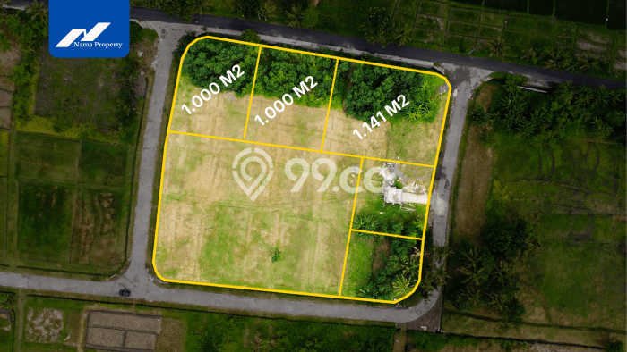 Tanah Dijual Area Strategis di Kedungu Tabanan 1000m2 Tanah Dijual Area Strategis di Kedungu Tabanan 1000m2