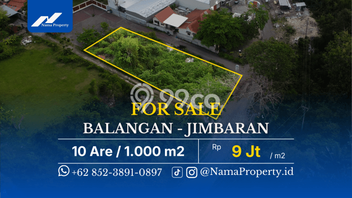Tanah Kavling Dijual di Badung dengan Spesifikasi 1000m2 Tanah Kavling Dijual di Badung dengan Spesifikasi 1000m2