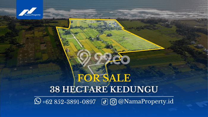 Tanah Dijual di Tabanan Seluas 380000m2 Strategis Tanah Dijual di Tabanan Seluas 380000m2 Strategis