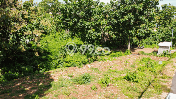 Tanah Dijual Area Strategis di Pecatu Badung 1077m2 Tanah Dijual Area Strategis di Pecatu Badung 1077m2