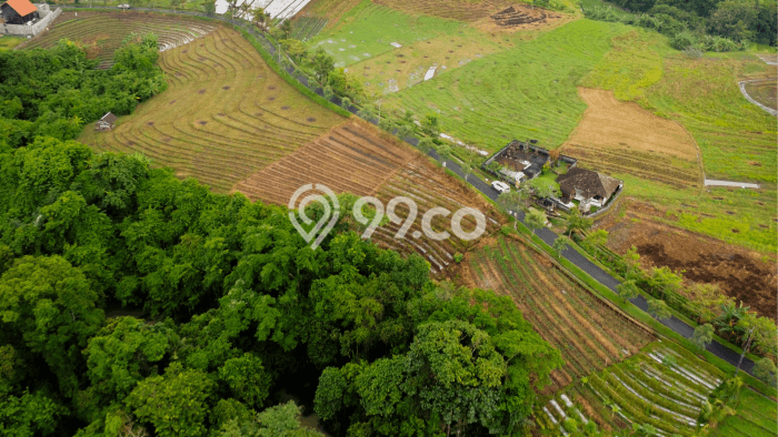 Dijual Tanah Lokasi Klecung, Tabanan Seluas 1000m2 Dijual Tanah Lokasi Klecung, Tabanan Seluas 1000m2