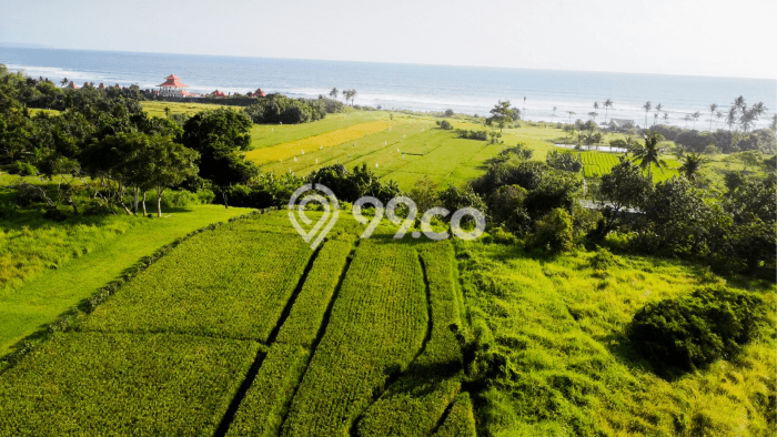 Tanah Dijual di Tabanan Seluas 380000m2 Strategis Tanah Dijual di Tabanan Seluas 380000m2 Strategis