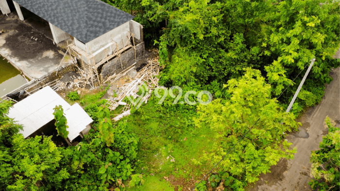 Dijual Tanah di Badung, Luas 500m2 SHM Dijual Tanah di Badung, Luas 500m2 SHM