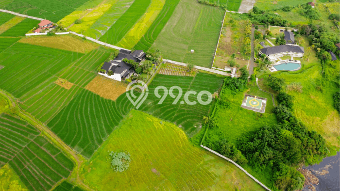 Untuk Dijual Tanah 2350m2 di Klecung, Tabanan Untuk Dijual Tanah 2350m2 di Klecung, Tabanan