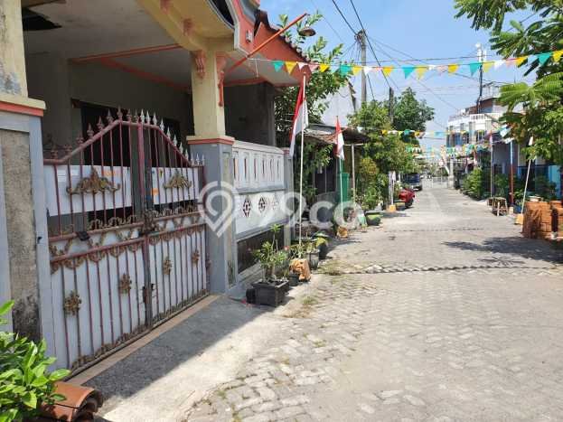 Rumah Terjangkau Dijual di Driyorejo, Gresik Harga Rp 256 Juta Rumah Terjangkau Dijual di Driyorejo, Gresik Harga Rp 256 Juta