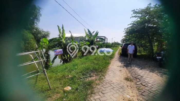 Tanah Dijual Lokasi Sarirejo, Lamongan Luas 1499m2 Legalitas Aman Tanah Dijual Lokasi Sarirejo, Lamongan Luas 1499m2 Legalitas Aman