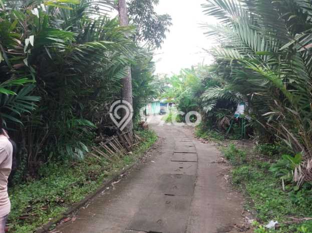 Tanah Dijual Lokasi Kapas Bojonegoro SHM Tanah Dijual Lokasi Kapas Bojonegoro SHM