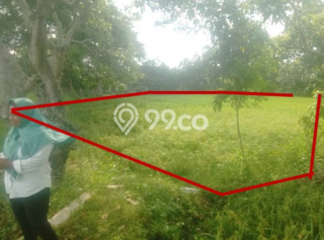 Tanah Kavling di Balongpanggang Dijual dengan Luas 1860m2 Tanah Kavling di Balongpanggang Dijual dengan Luas 1860m2