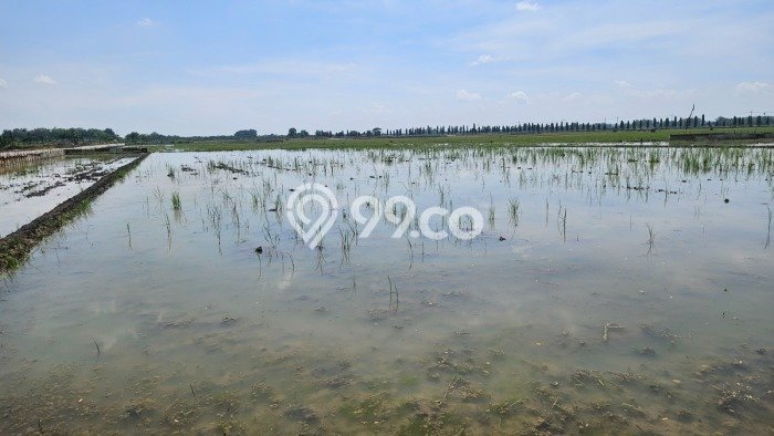 Kavling Tanah Dijual di Babat Lamongan Spesifikasi 1990m2 Kavling Tanah Dijual di Babat Lamongan Spesifikasi 1990m2