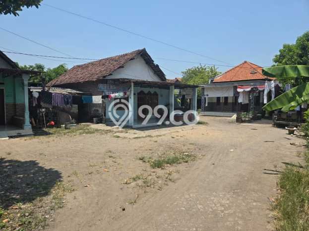 Rumah Minimalis Dijual di Wonoayu 3 Kamar dengan Luas Tanah 212m2 Rumah Minimalis Dijual di Wonoayu 3 Kamar dengan Luas Tanah 212m2