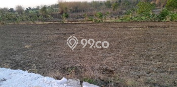 Tanah di Kembangbahu, Lamongan Luas 1264m2 Dijual Segera Tanah di Kembangbahu, Lamongan Luas 1264m2 Dijual Segera