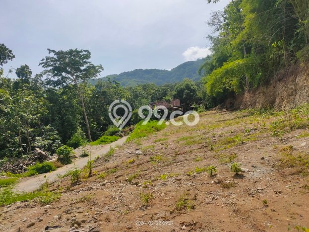 Tanah Kavling Dijual di Imogiri, Yogyakarta dengan Luas Tanah 124m2 Tanah Kavling Dijual di Imogiri, Yogyakarta dengan Luas Tanah 124m2