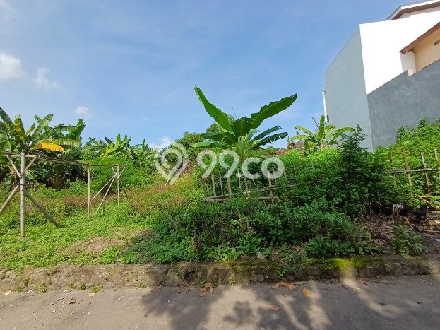 Jarang Ada! Tanah di Prambanan Punya Luas 265m2 SHM Jarang Ada! Tanah di Prambanan Punya Luas 265m2 SHM