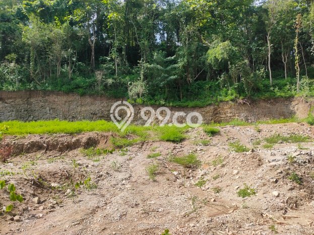Dijual Tanah Lokasi Imogiri, Yogyakarta Seluas 100m2 Dijual Tanah Lokasi Imogiri, Yogyakarta Seluas 100m2